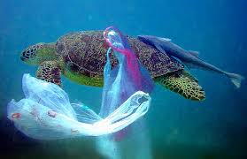 Facts about Plastic pollution